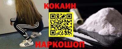 apvp Кингисепп