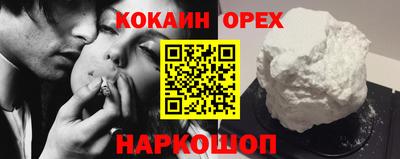 apvp Кингисепп