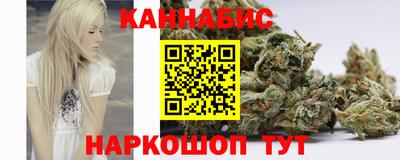 apvp Кингисепп