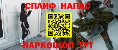 apvp Кингисепп