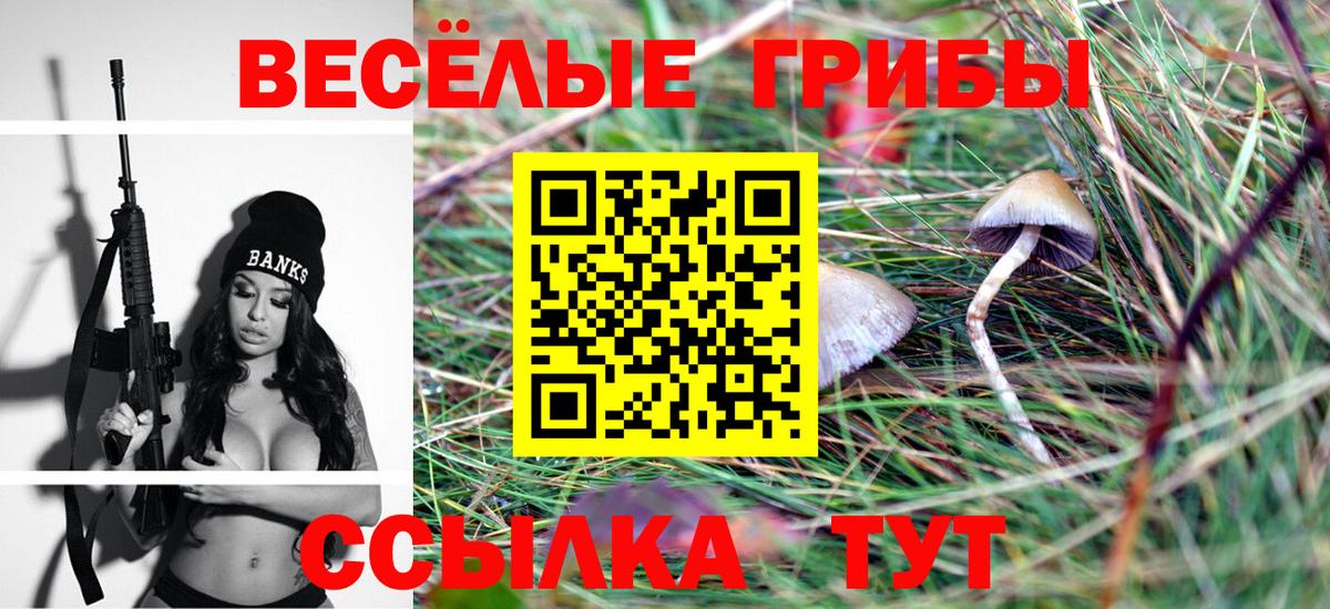 Псилоцибиновые грибы ЛСД Лабинск