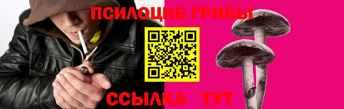 Лабинск  Псилоцибиновые грибы Cubensis  Вход с VPN  что такое наркотик  Псилоцибиновые грибы MAGIC MUSHROOMS 